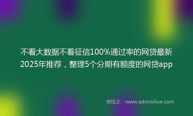 不看大数据不看征信100%通过率的网贷最新2025年推荐，整理5个分期有额度的网贷app
