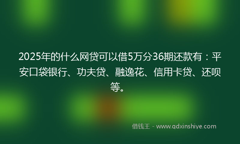 2025年的什么网贷可以借5万分36期还款有：平安口袋银行、功夫贷、融逸花、信用卡贷、还呗等。