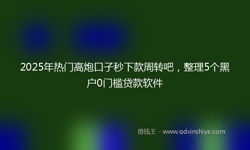 2025年热门高炮口子秒下款周转吧，整理5个黑户0门槛贷款软件