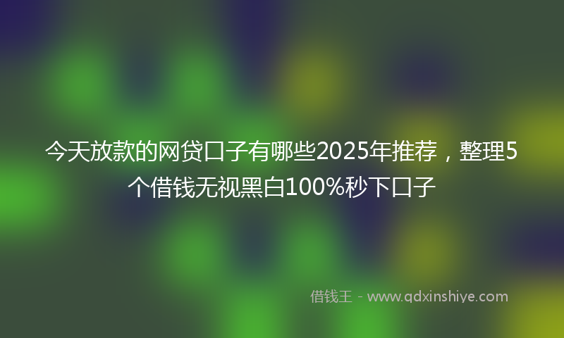 今天放款的网贷口子有哪些2025年推荐，整理5个借钱无视黑白100%秒下口子