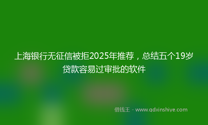上海银行无征信被拒2025年推荐，总结五个19岁贷款容易过审批的软件