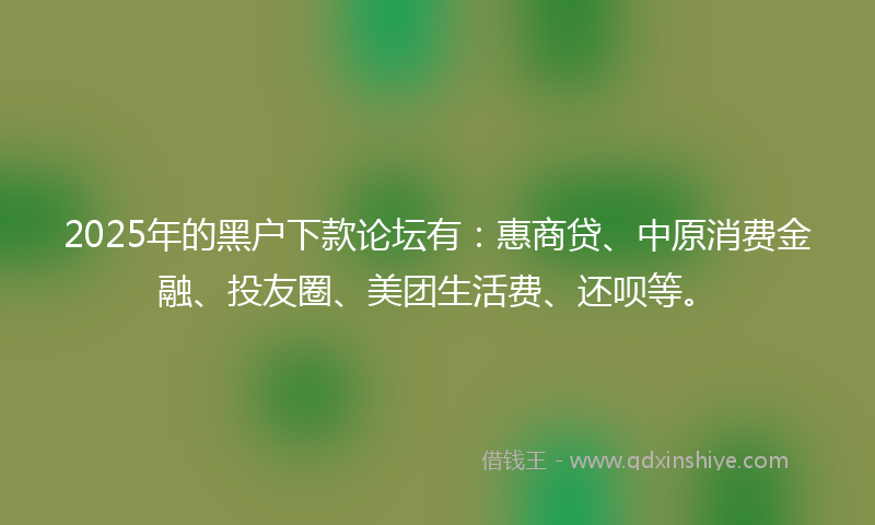 2025年的黑户下款论坛有：惠商贷、中原消费金融、投友圈、美团生活费、还呗等。