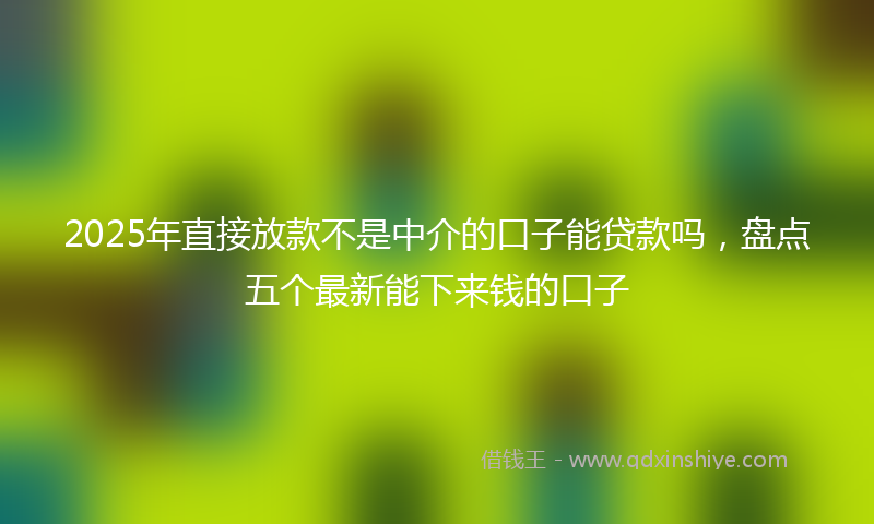 2025年直接放款不是中介的口子能贷款吗，盘点五个最新能下来钱的口子
