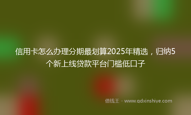 信用卡怎么办理分期最划算2025年精选，归纳5个新上线贷款平台门槛低口子