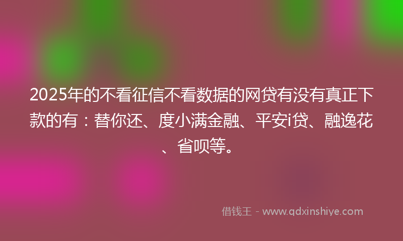 2025年的不看征信不看数据的网贷有没有真正下款的有：替你还、度小满金融、平安i贷、融逸花、省呗等。