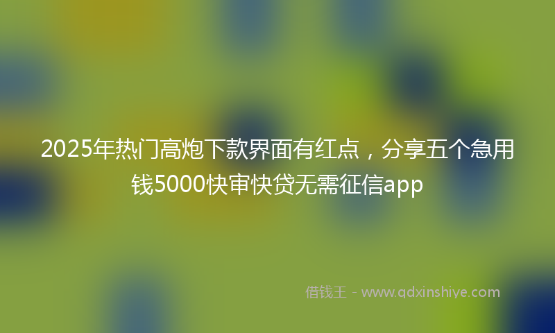 2025年热门高炮下款界面有红点，分享五个急用钱5000快审快贷无需征信app