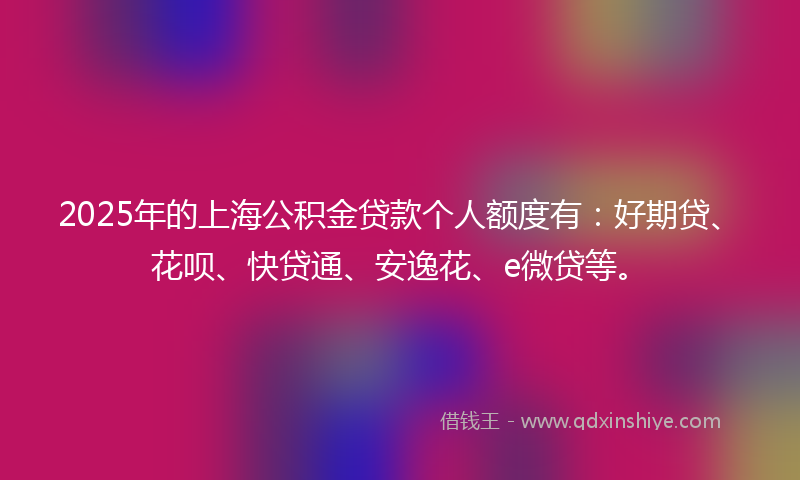 2025年的上海公积金贷款个人额度有：好期贷、花呗、快贷通、安逸花、e微贷等。