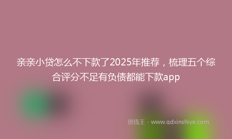 亲亲小贷怎么不下款了2025年推荐，梳理五个综合评分不足有负债都能下款app