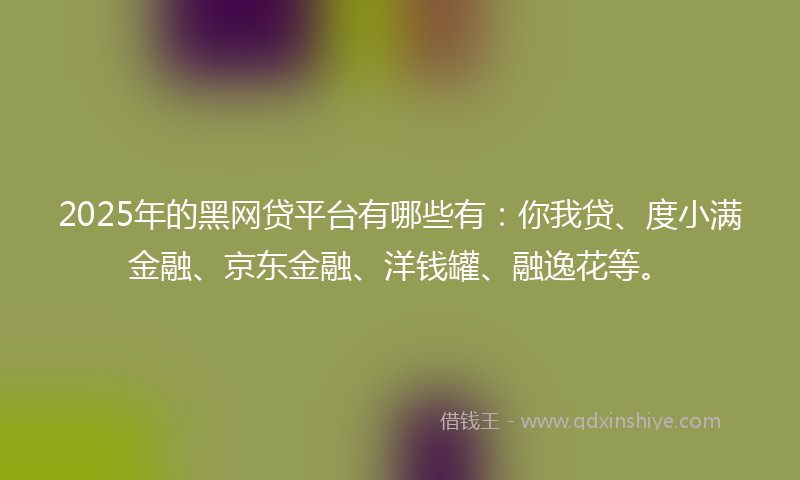 2025年的黑网贷平台有哪些有：你我贷、度小满金融、京东金融、洋钱罐、融逸花等。