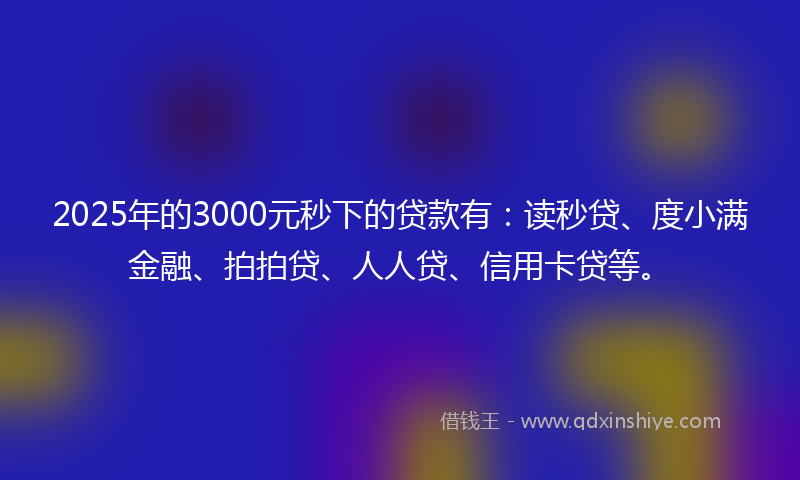 2025年的3000元秒下的贷款有：读秒贷、度小满金融、拍拍贷、人人贷、信用卡贷等。