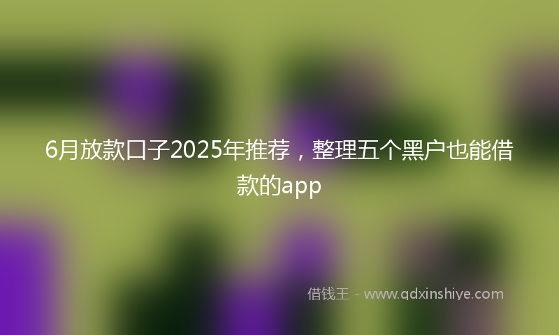 6月放款口子2025年推荐，整理五个黑户也能借款的app