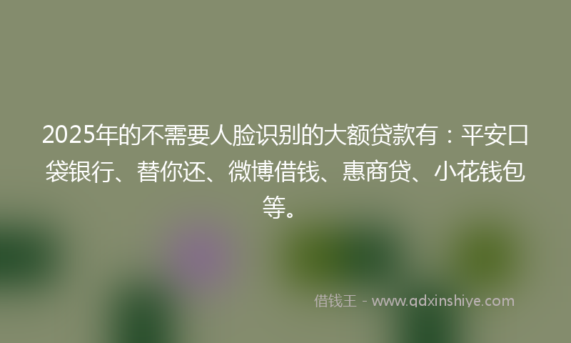 2025年的不需要人脸识别的大额贷款有：平安口袋银行、替你还、微博借钱、惠商贷、小花钱包等。