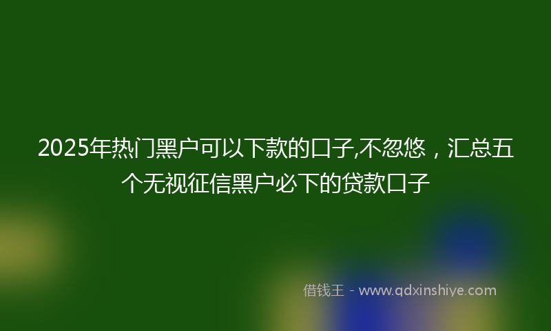 2025年热门黑户可以下款的口子,不忽悠，汇总五个无视征信黑户必下的贷款口子