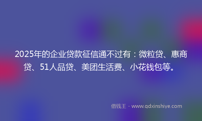 2025年的企业贷款征信通不过有：微粒贷、惠商贷、51人品贷、美团生活费、小花钱包等。