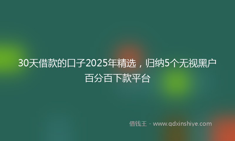 30天借款的口子2025年精选，归纳5个无视黑户百分百下款平台