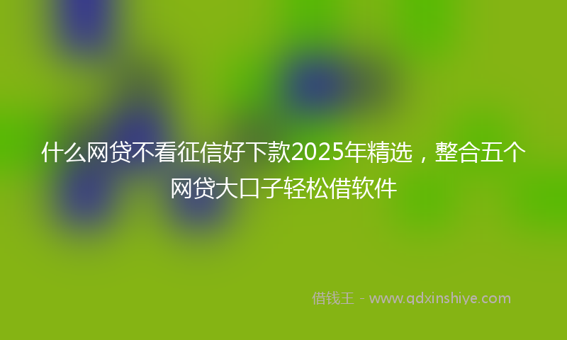 什么网贷不看征信好下款2025年精选，整合五个网贷大口子轻松借软件