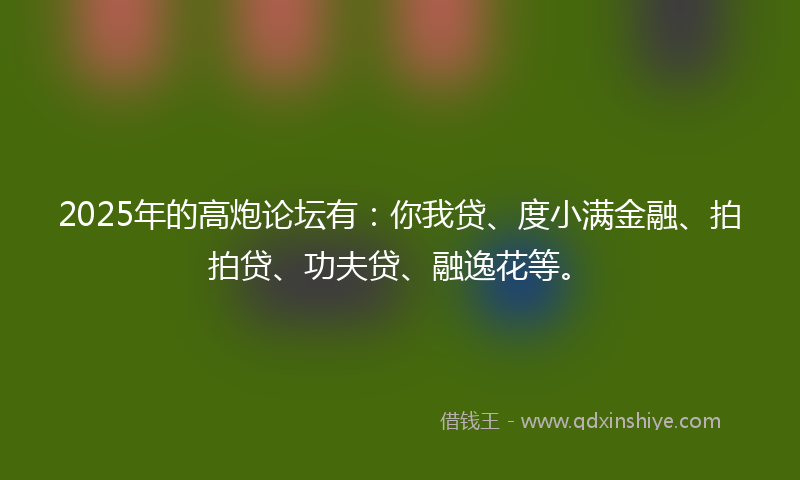 2025年的高炮论坛有：你我贷、度小满金融、拍拍贷、功夫贷、融逸花等。