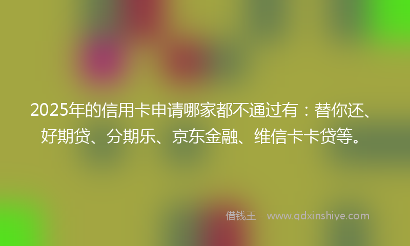 2025年的信用卡申请哪家都不通过有：替你还、好期贷、分期乐、京东金融、维信卡卡贷等。