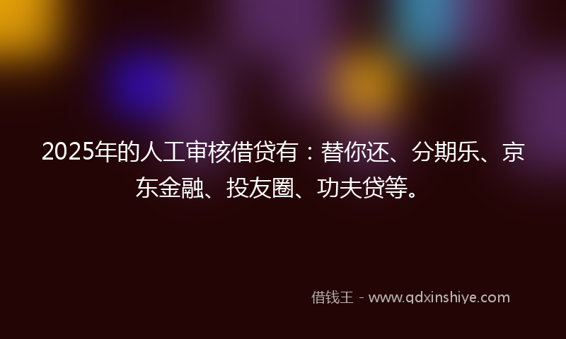 2025年的人工审核借贷有：替你还、分期乐、京东金融、投友圈、功夫贷等。