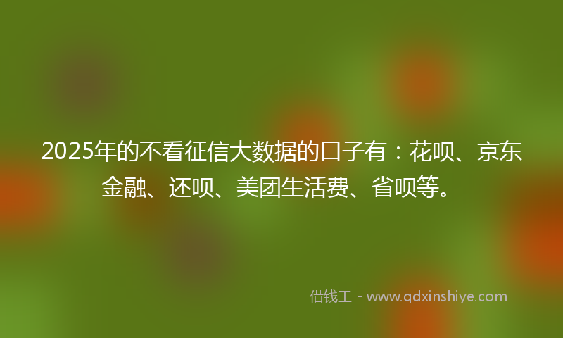 2025年的不看征信大数据的口子有：花呗、京东金融、还呗、美团生活费、省呗等。