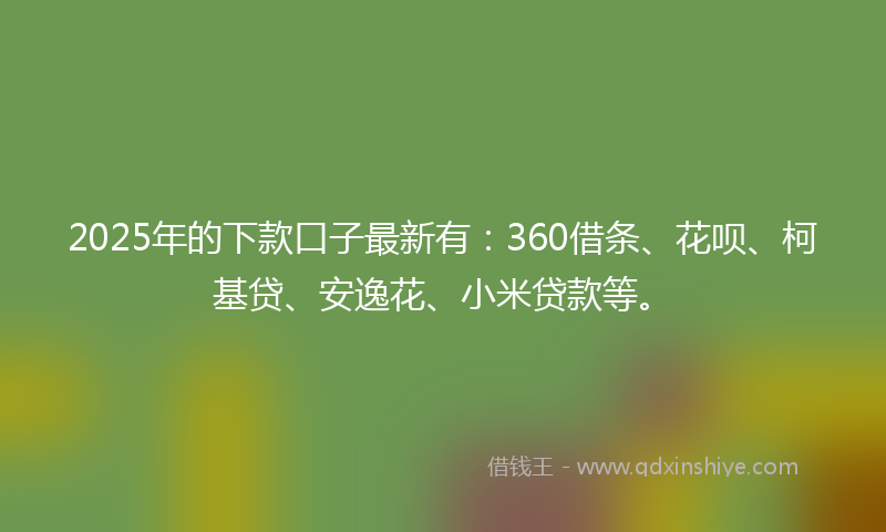 2025年的下款口子最新有：360借条、花呗、柯基贷、安逸花、小米贷款等。