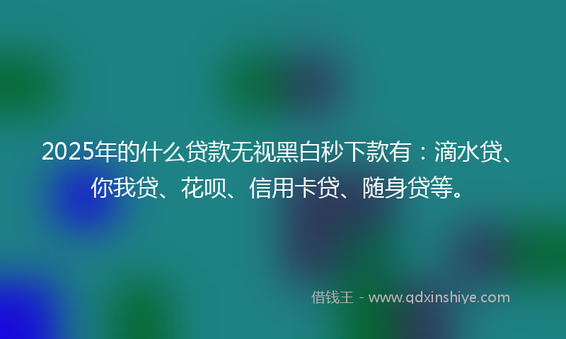 2025年的什么贷款无视黑白秒下款有：滴水贷、你我贷、花呗、信用卡贷、随身贷等。