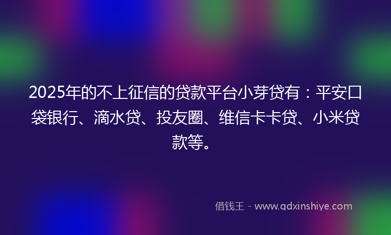 2025年的不上征信的贷款平台小芽贷有：平安口袋银行、滴水贷、投友圈、维信卡卡贷、小米贷款等。