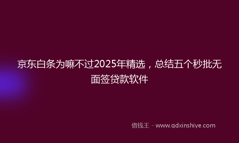 京东白条为嘛不过2025年精选，总结五个秒批无面签贷款软件
