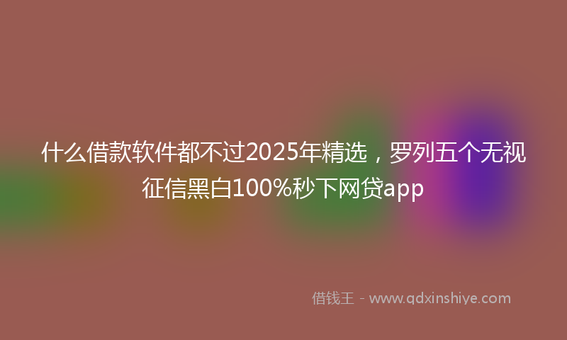 什么借款软件都不过2025年精选，罗列五个无视征信黑白100%秒下网贷app