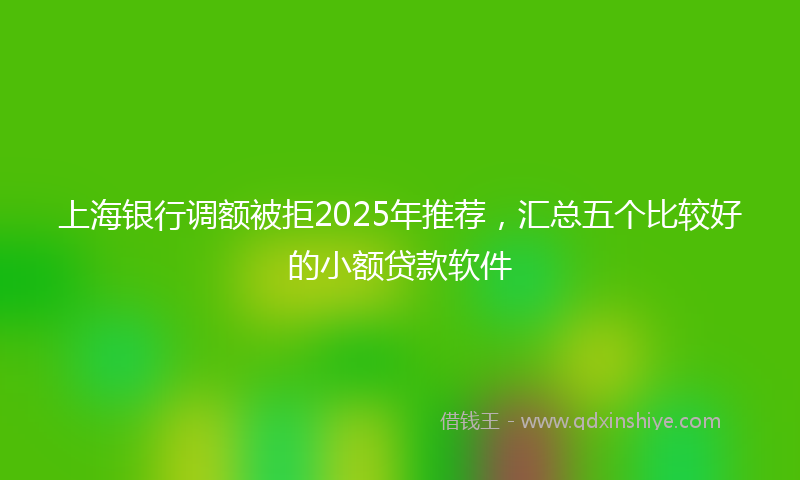 上海银行调额被拒2025年推荐，汇总五个比较好的小额贷款软件