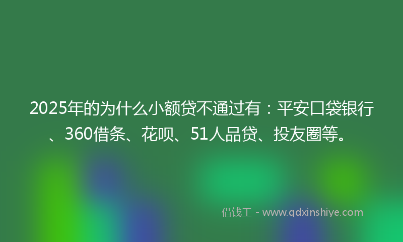 2025年的为什么小额贷不通过有：平安口袋银行、360借条、花呗、51人品贷、投友圈等。