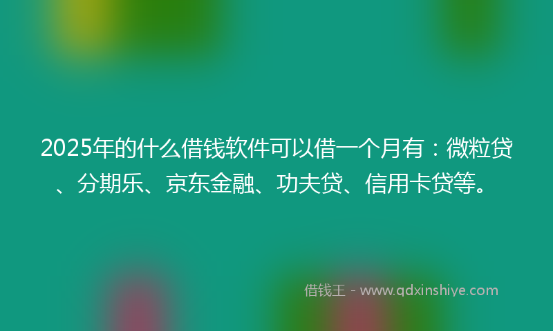 2025年的什么借钱软件可以借一个月有：微粒贷、分期乐、京东金融、功夫贷、信用卡贷等。