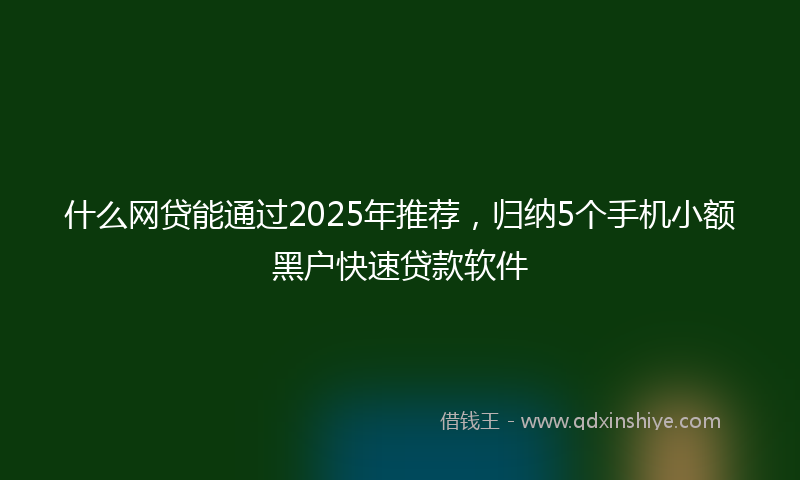 什么网贷能通过2025年推荐，归纳5个手机小额黑户快速贷款软件