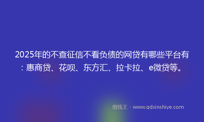 2025年的不查征信不看负债的网贷有哪些平台有：惠商贷、花呗、东方汇、拉卡拉、e微贷等。