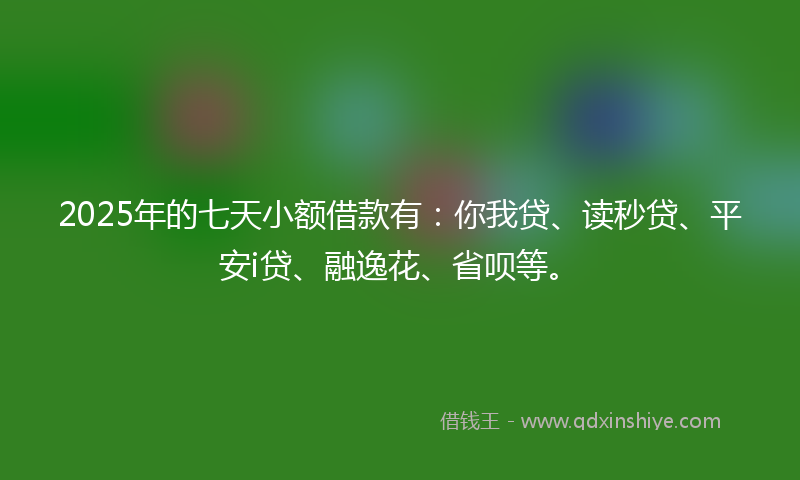 2025年的七天小额借款有：你我贷、读秒贷、平安i贷、融逸花、省呗等。