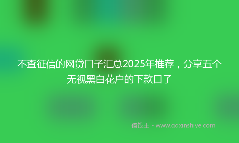 不查征信的网贷口子汇总2025年推荐，分享五个无视黑白花户的下款口子