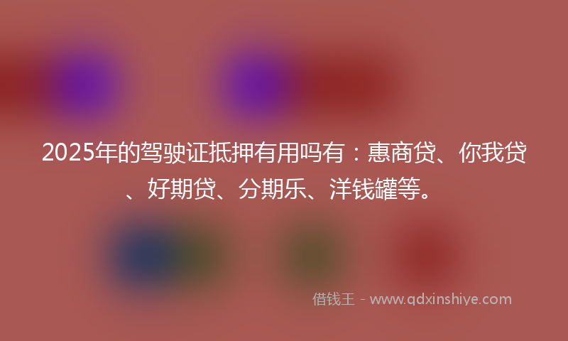 2025年的驾驶证抵押有用吗有：惠商贷、你我贷、好期贷、分期乐、洋钱罐等。