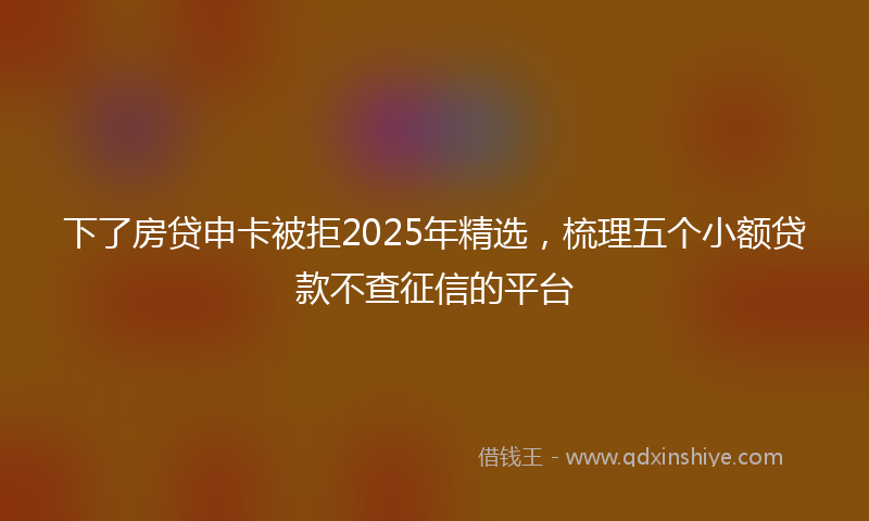 下了房贷申卡被拒2025年精选，梳理五个小额贷款不查征信的平台