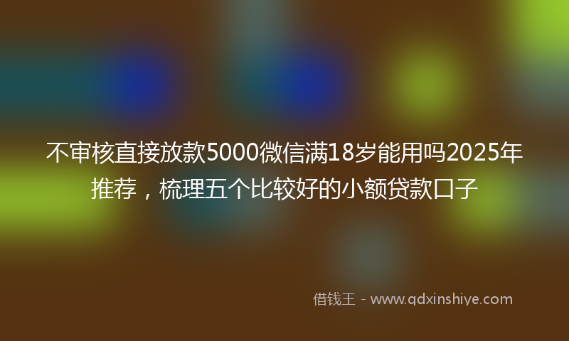 不审核直接放款5000微信满18岁能用吗2025年推荐，梳理五个比较好的小额贷款口子