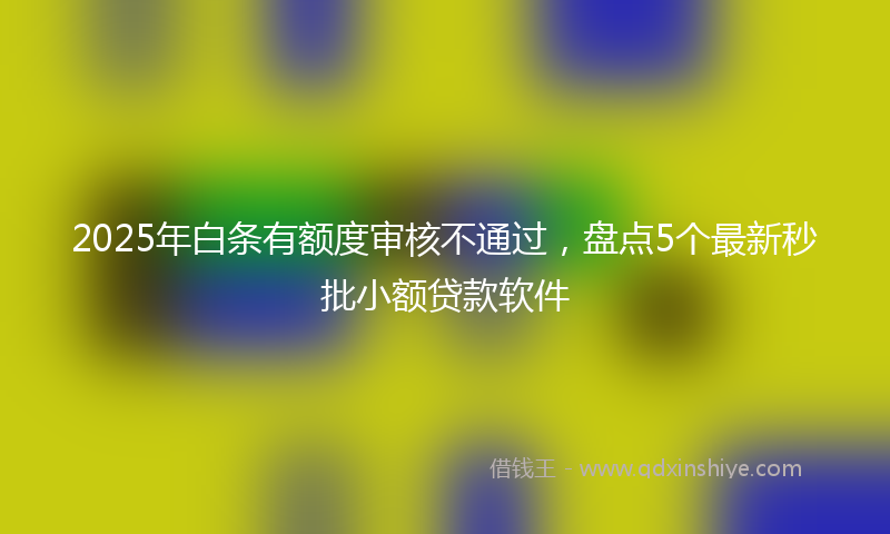 2025年白条有额度审核不通过，盘点5个最新秒批小额贷款软件