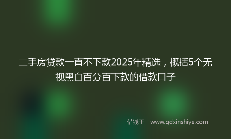 二手房贷款一直不下款2025年精选，概括5个无视黑白百分百下款的借款口子