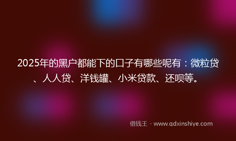 2025年的黑户都能下的口子有哪些呢有：微粒贷、人人贷、洋钱罐、小米贷款、还呗等。