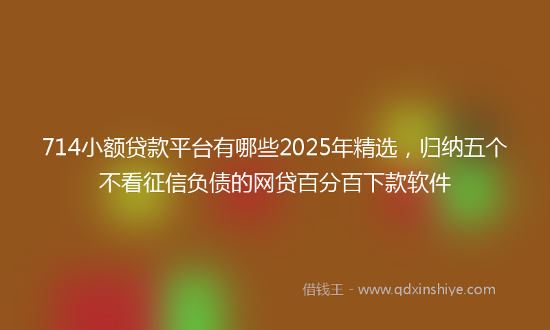 714小额贷款平台有哪些2025年精选，归纳五个不看征信负债的网贷百分百下款软件
