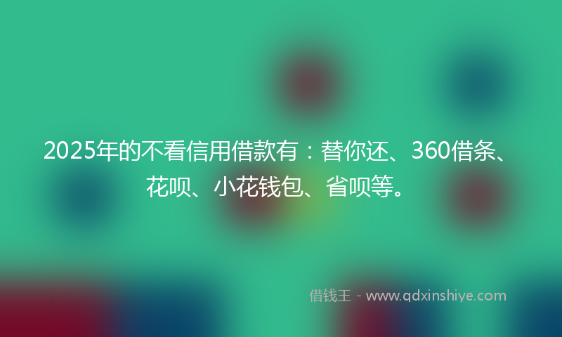 2025年的不看信用借款有：替你还、360借条、花呗、小花钱包、省呗等。