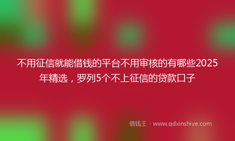不用征信就能借钱的平台不用审核的有哪些2025年精选，罗列5个不上征信的贷款口子