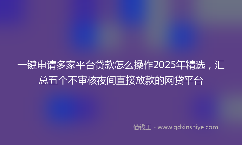 一键申请多家平台贷款怎么操作2025年精选，汇总五个不审核夜间直接放款的网贷平台