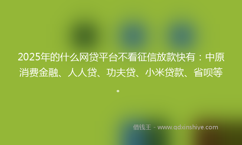 2025年的什么网贷平台不看征信放款快有：中原消费金融、人人贷、功夫贷、小米贷款、省呗等。