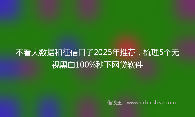 不看大数据和征信口子2025年推荐，梳理5个无视黑白100%秒下网贷软件