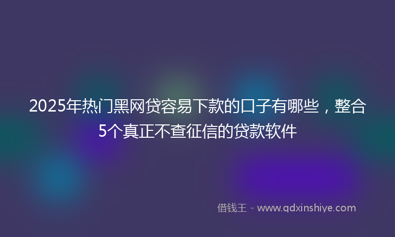 2025年热门黑网贷容易下款的口子有哪些，整合5个真正不查征信的贷款软件