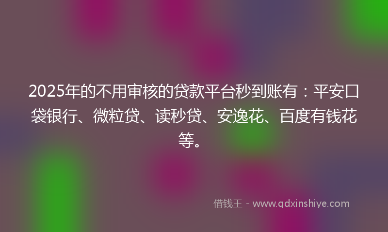 2025年的不用审核的贷款平台秒到账有：平安口袋银行、微粒贷、读秒贷、安逸花、百度有钱花等。